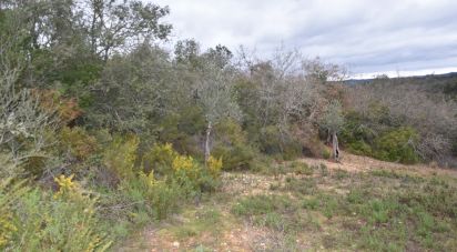 Terrain à Chãos de 8 880 m²