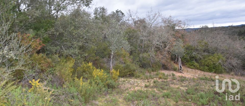 Terrain à Chãos de 8 880 m²