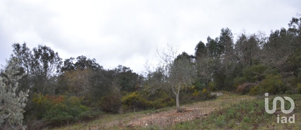 Terrain à Chãos de 8 880 m²