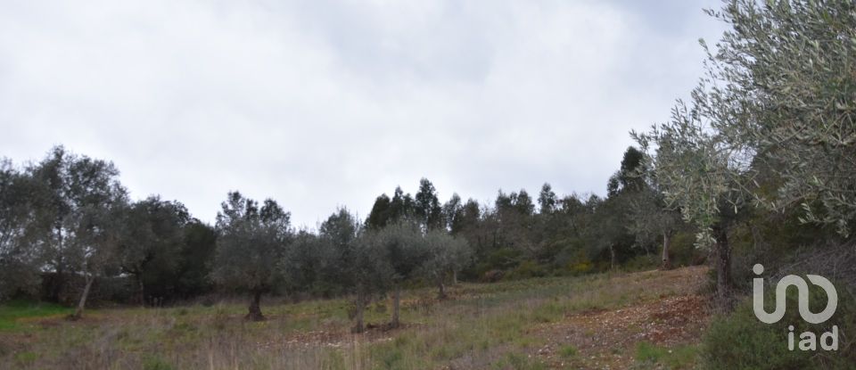 Terrain à Chãos de 8 880 m²