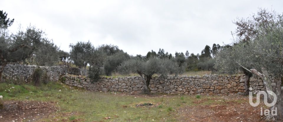 Terrain à Chãos de 8 880 m²