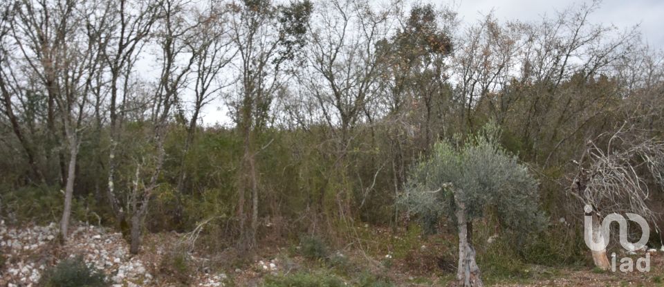 Terrain à Chãos de 8 880 m²