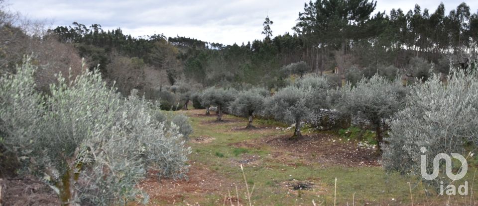 Terrain à Chãos de 8 880 m²