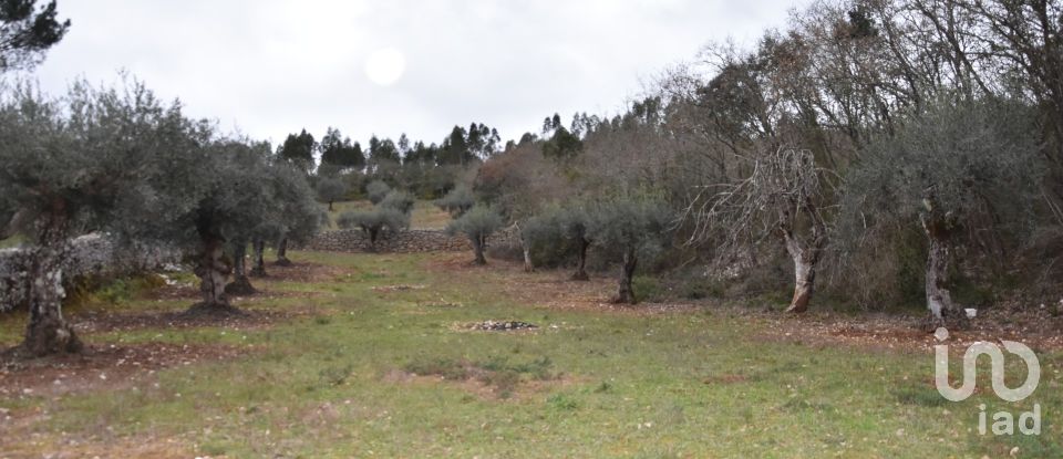 Terrain à Chãos de 8 880 m²