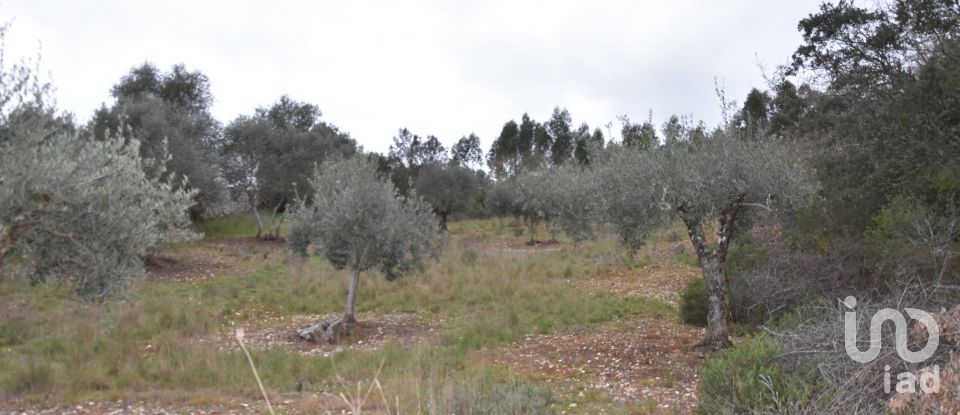 Terrain à Chãos de 8 880 m²