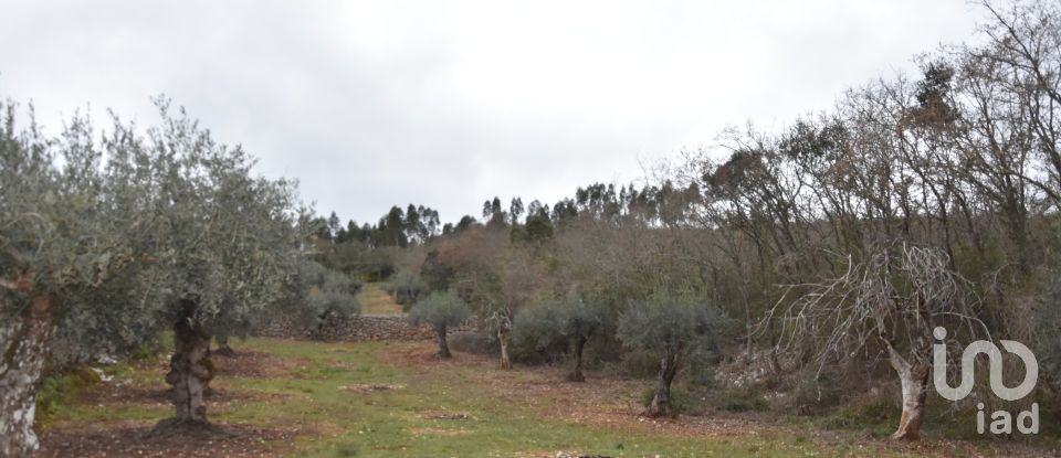 Terrain à Chãos de 8 880 m²