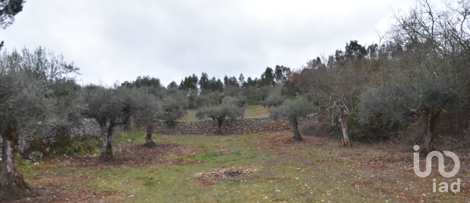 Terrain à Chãos de 8 880 m²