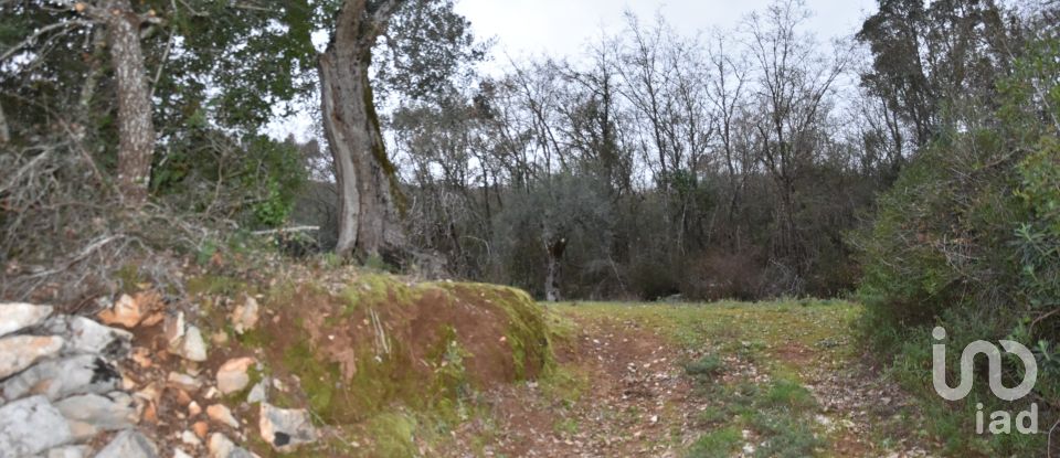 Terrain à Chãos de 8 880 m²