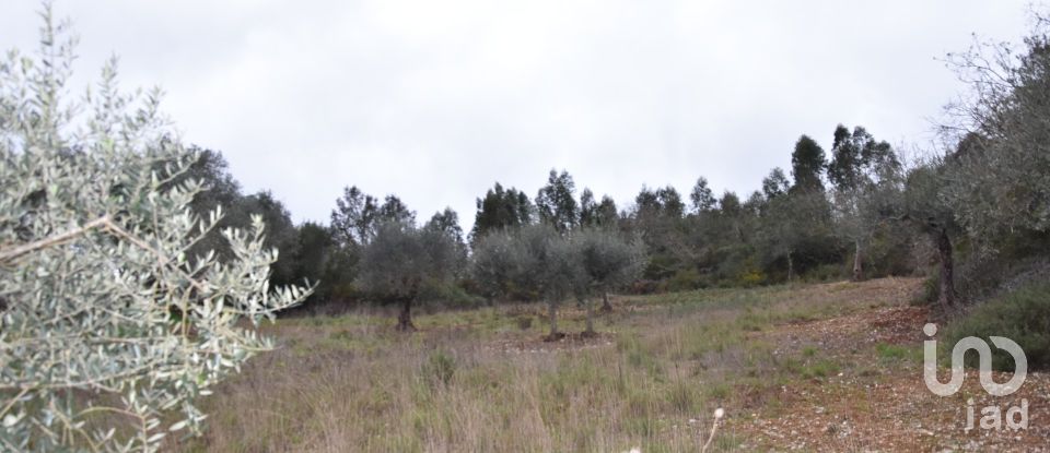 Terrain à Chãos de 8 880 m²