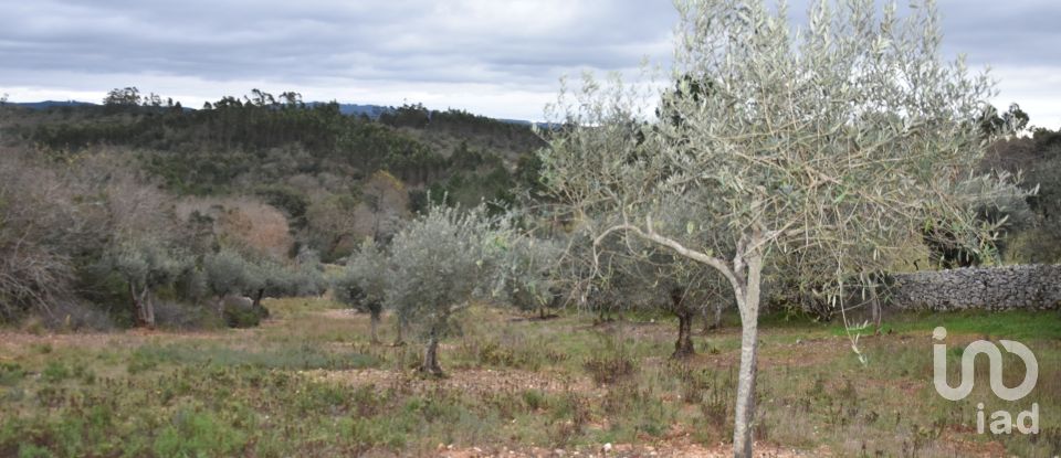 Terrain à Chãos de 8 880 m²