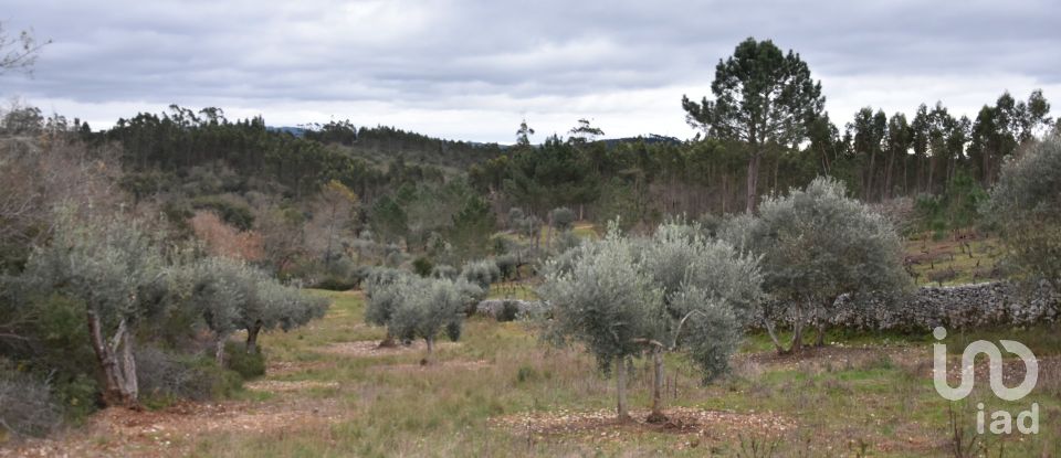 Terrain à Chãos de 8 880 m²