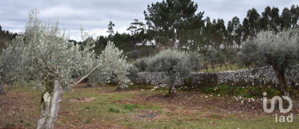 Terrain à Chãos de 8 880 m²