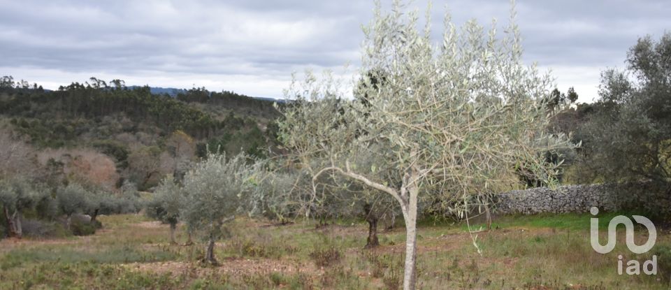 Terrain à Chãos de 8 880 m²