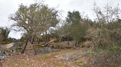 Terrain à Chãos de 2 120 m²