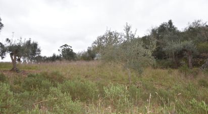 Terrain à Chãos de 2 120 m²