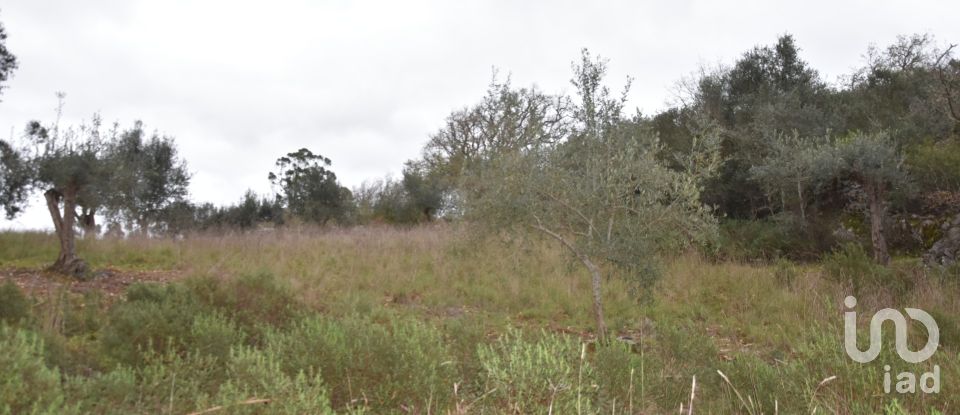 Terrain à Chãos de 2 120 m²