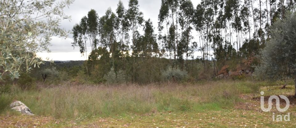 Terrain à Chãos de 2 120 m²