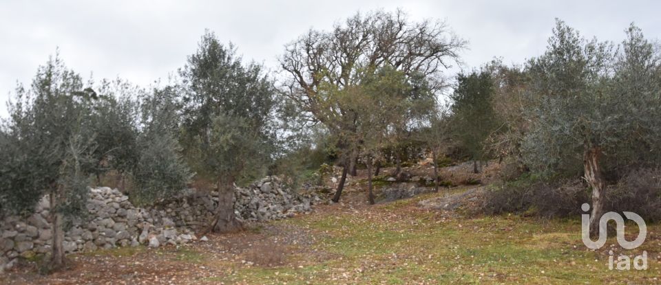 Terrain à Chãos de 2 120 m²