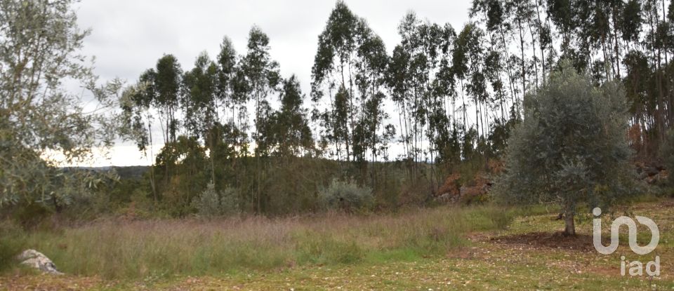 Terrain à Chãos de 2 120 m²