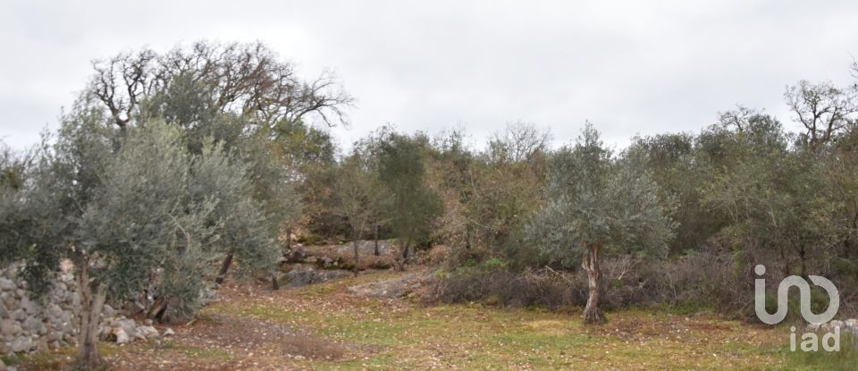 Terrain à Chãos de 2 120 m²