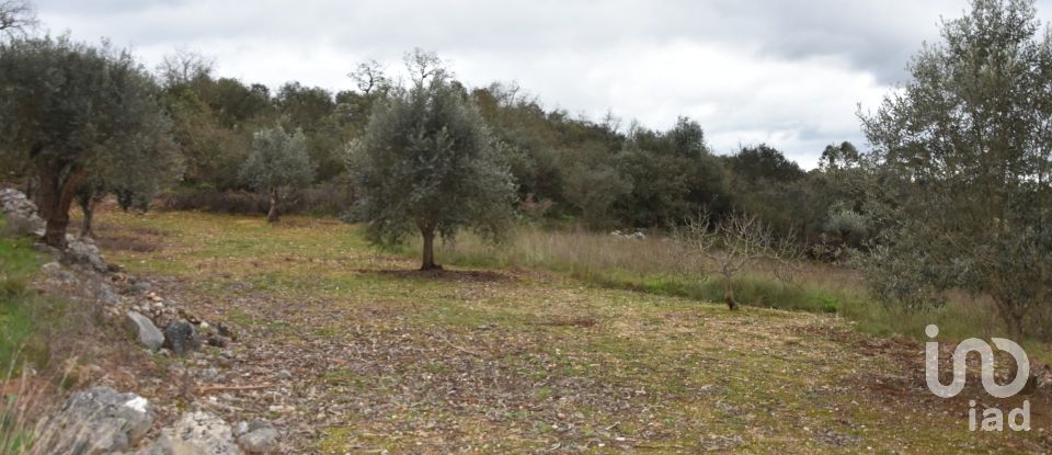 Terrain à Chãos de 2 120 m²