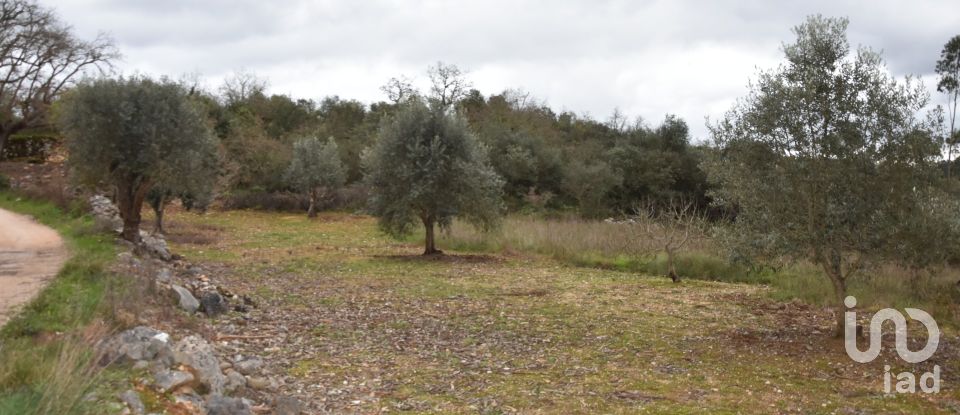 Terrain à Chãos de 2 120 m²