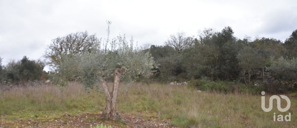 Terrain à Chãos de 2 120 m²