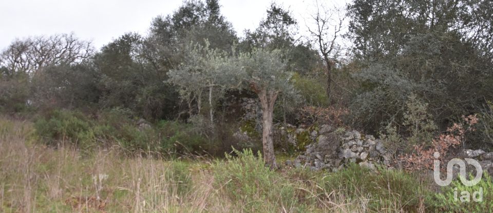 Terrain à Chãos de 2 120 m²