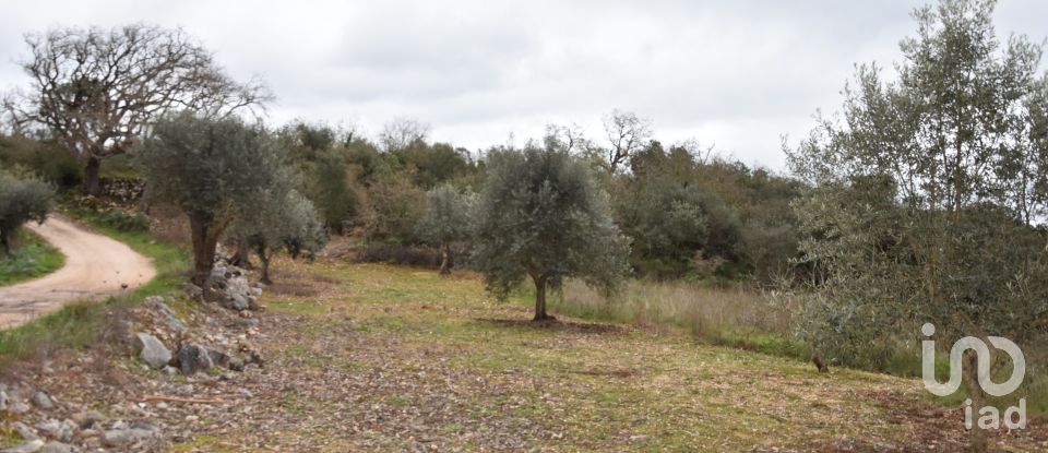 Terrain à Chãos de 2 120 m²