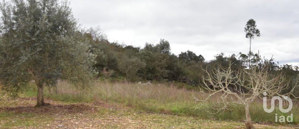 Terrain à Chãos de 2 120 m²