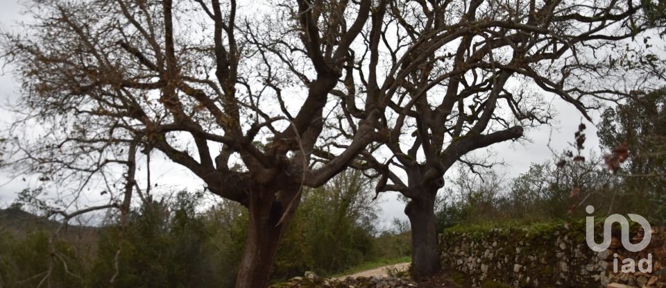 Terrain à Chãos de 2 120 m²