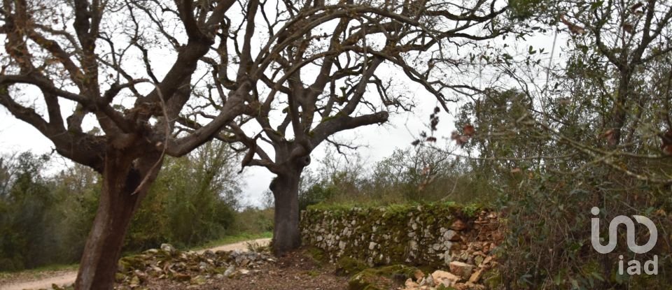 Terrain à Chãos de 2 120 m²