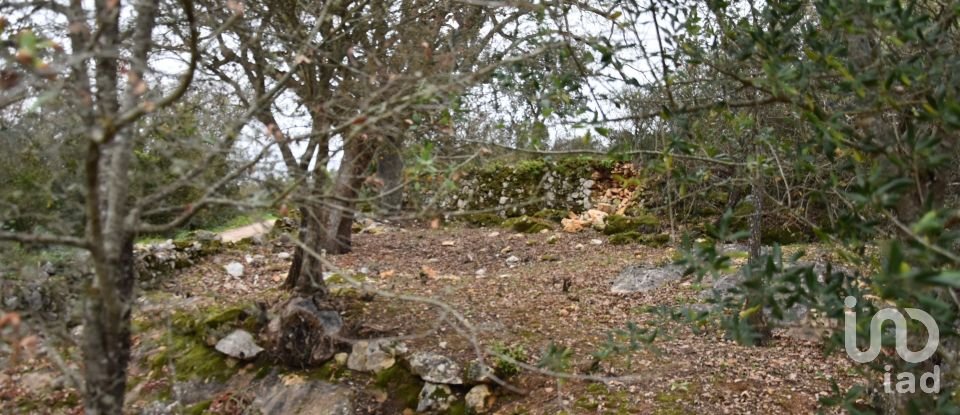 Terrain à Chãos de 2 120 m²