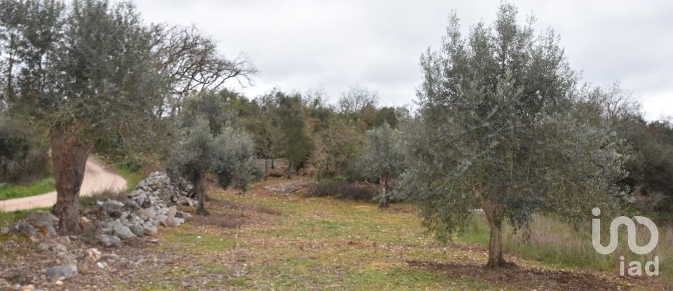 Terrain à Chãos de 2 120 m²