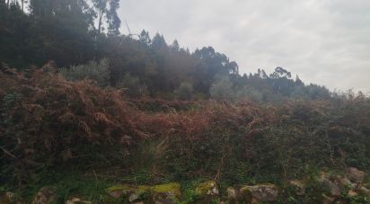 Terrain à Penacova de 885 m²