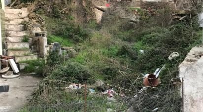 House T2 in Peso da Régua e Godim of 345 m²