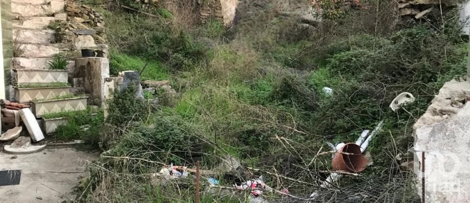 Moradia T2 em Peso da Régua e Godim de 345 m²