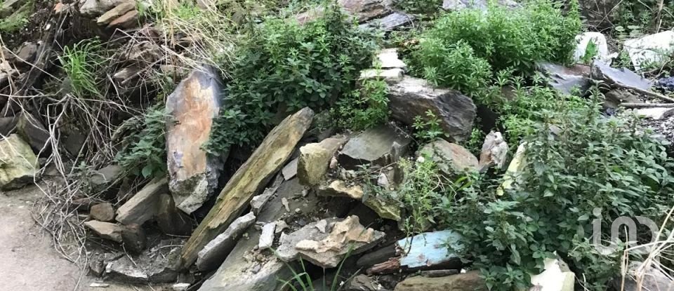 Moradia T2 em Peso da Régua e Godim de 345 m²