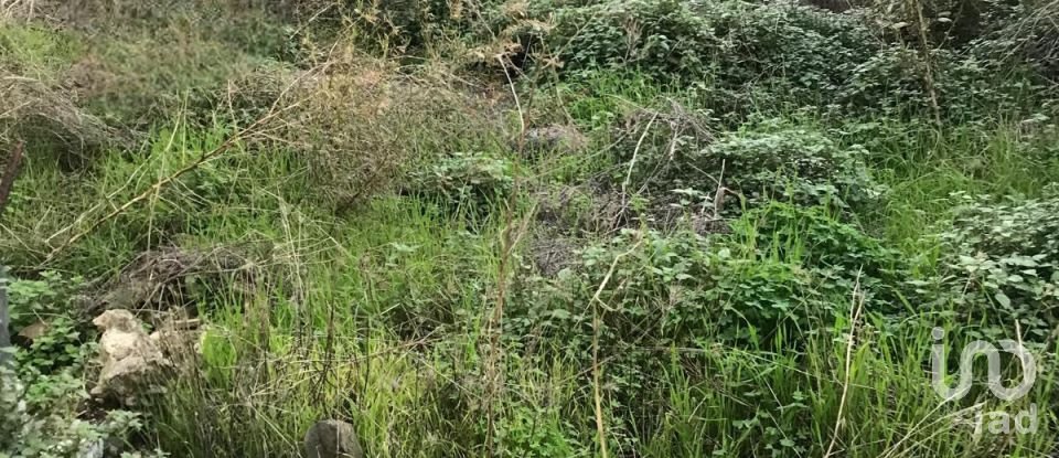 Moradia T2 em Peso da Régua e Godim de 345 m²