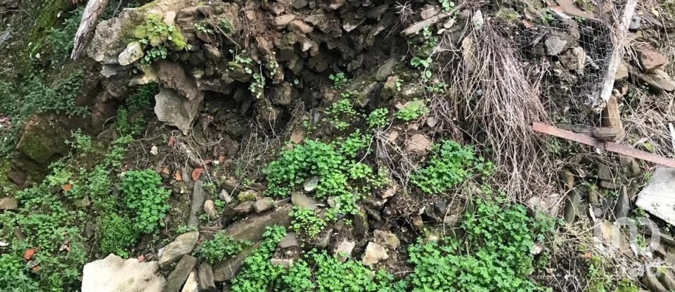 Moradia T2 em Peso da Régua e Godim de 345 m²