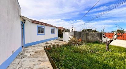 Maison T2 à Santo Isidoro de 123 m²