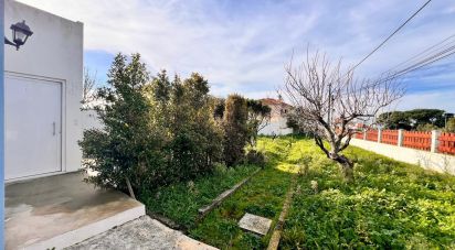 Maison T2 à Santo Isidoro de 123 m²