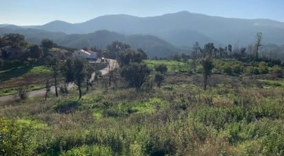 Terrain à Monchique de 5 480 m²