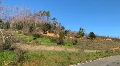 Terrain à Monchique de 5 480 m²