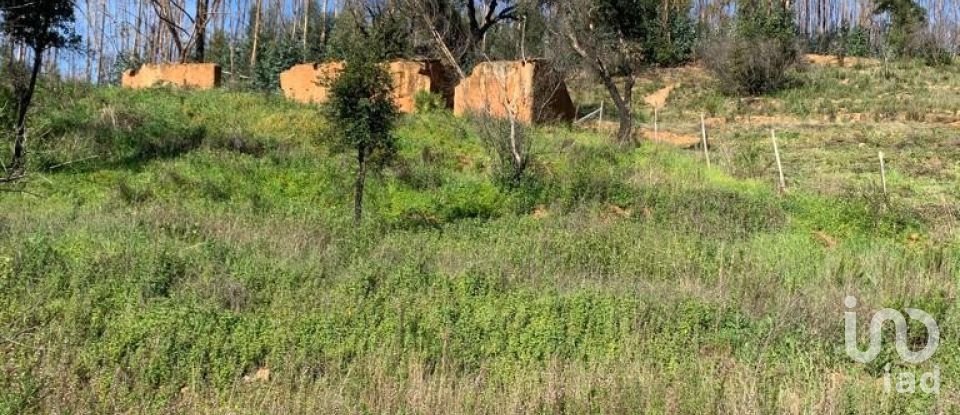 Terrain à Monchique de 5 480 m²