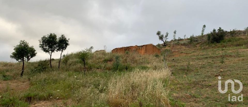 Terrain à Monchique de 5 480 m²