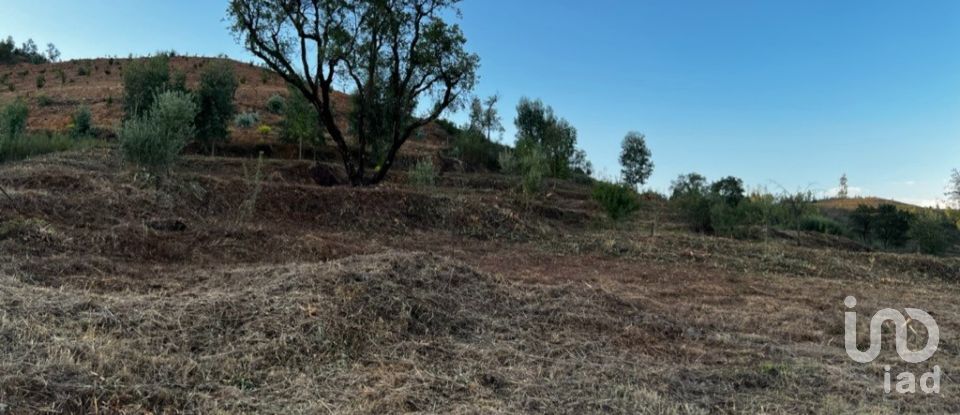 Terrain à Monchique de 5 480 m²