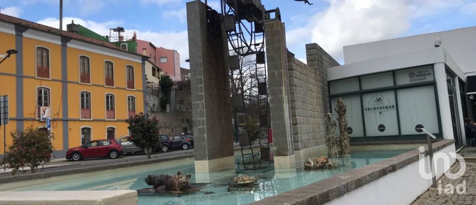 Terrain à Monchique de 5 480 m²