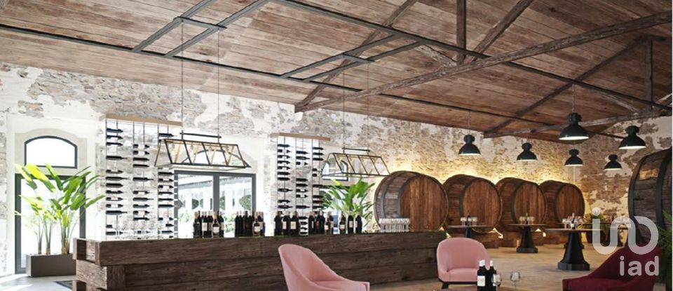 Loja / Estabelecimento Comercial em Vila Chã de Ourique de 2 845 m²