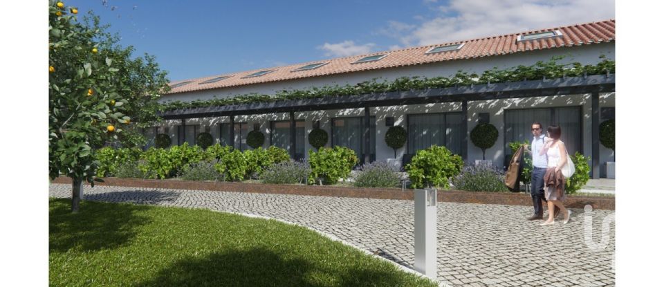 Loja / Estabelecimento Comercial em Vila Chã de Ourique de 2 845 m²